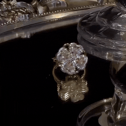 Kit 2 en 1 Viral en TikTok – Anillo Giratorio + Collar de Trébol